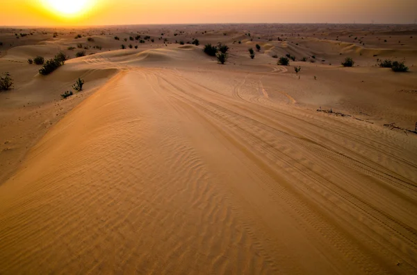 Paesaggio desertico — Foto Stock