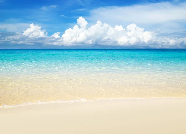 Tropical sea — Stock Photo, Image