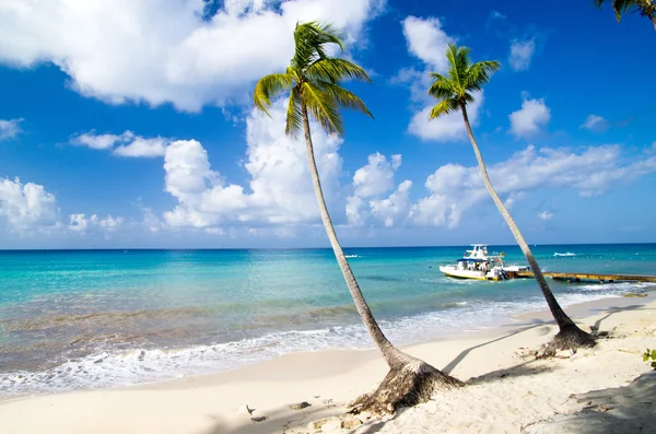 Spiaggia tropicale — Foto Stock