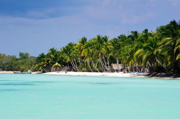 Tropisk strand — Stockfoto