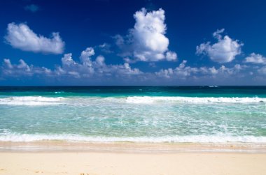 Karayip Denizi beach