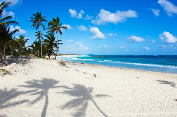 Mare caraibico — Foto Stock