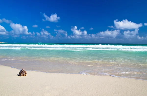 Beach — Stock Photo, Image