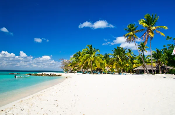 Spiaggia di mare — Foto Stock