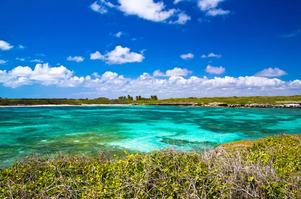 Caribbean sea — Stock Fotó