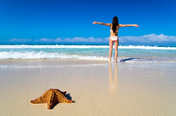 Estrella de mar en la playa tropical — Foto de Stock