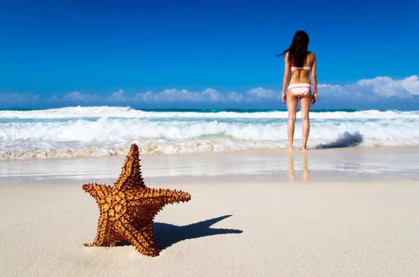 Stella marina sulla spiaggia — Foto Stock