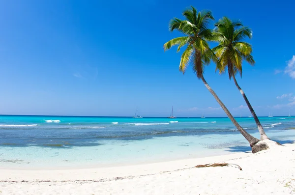 Sea beach — Stock Photo, Image