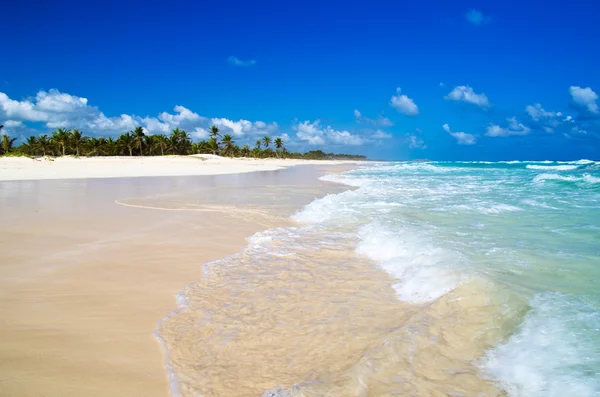 Caribische zee strand — Stockfoto