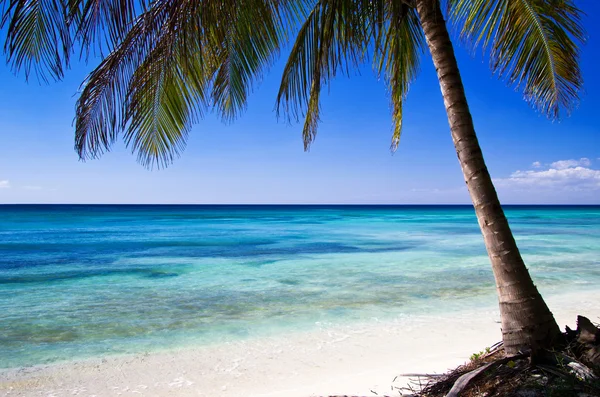 Praia do Caribe — Fotografia de Stock