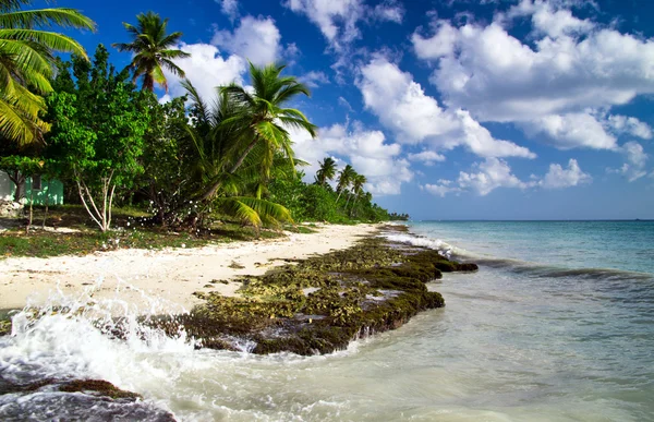 Praia com mar caribenho — Fotografia de Stock