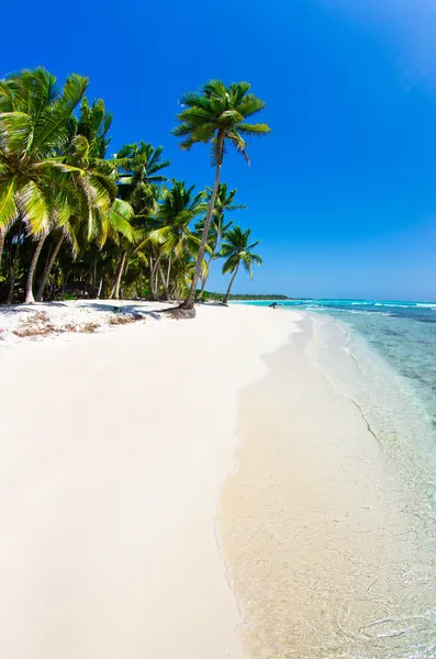 Praia do Caribe — Fotografia de Stock