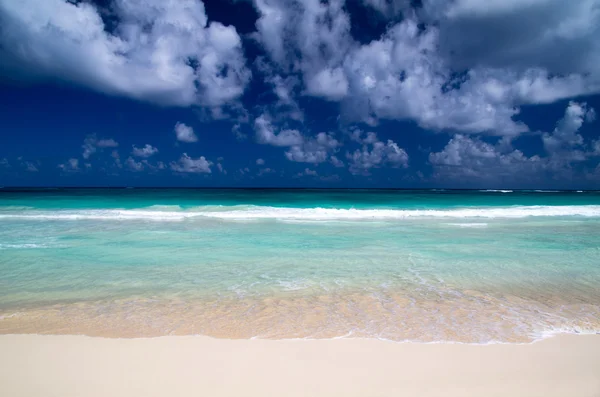 Tropiska havet — Stockfoto