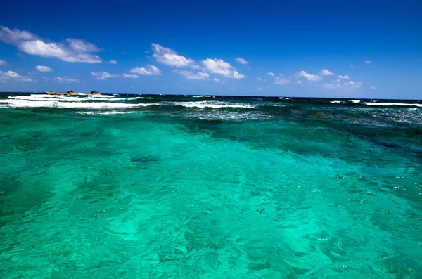 Tropical sea — Stock Photo, Image