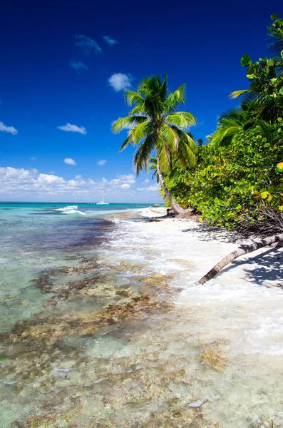 Caribbean sea — Stock Photo, Image