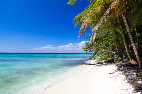 Beach — Stock Photo, Image