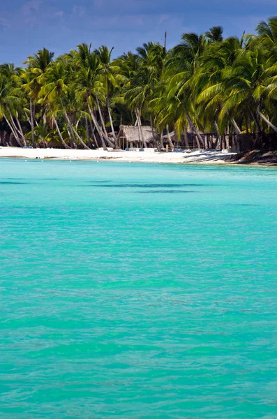 Tropiska havet — Stockfoto