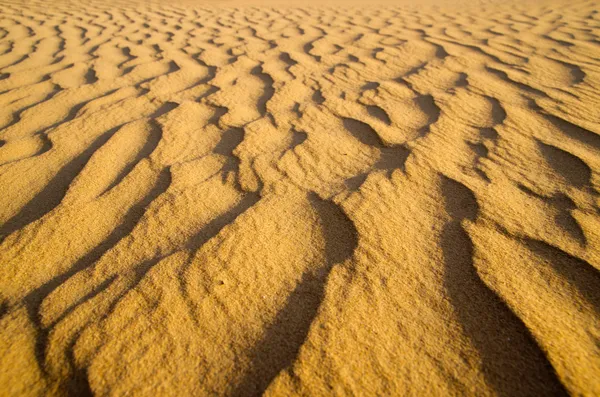 Desierto dorado —  Fotos de Stock