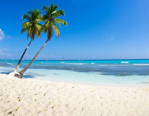 Playa y mar tropical — Foto de Stock