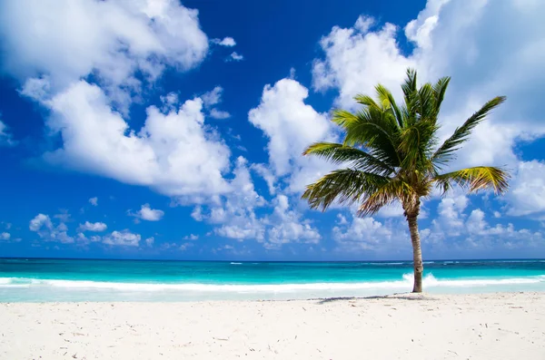 Spiaggia tropicale — Foto Stock