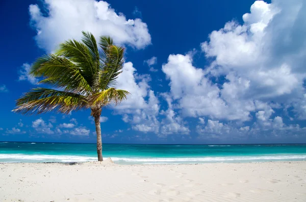 Spiaggia tropicale — Foto Stock