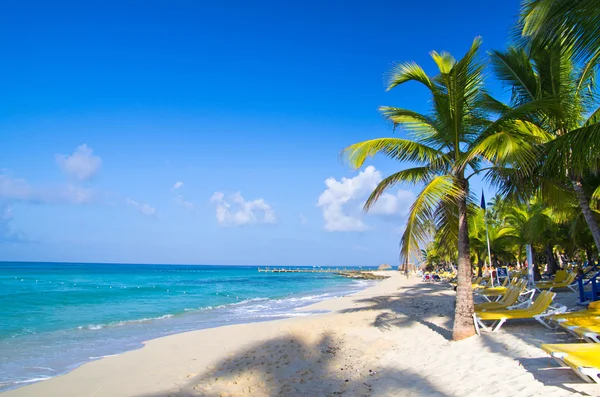 Tropical beach — Stock Photo, Image