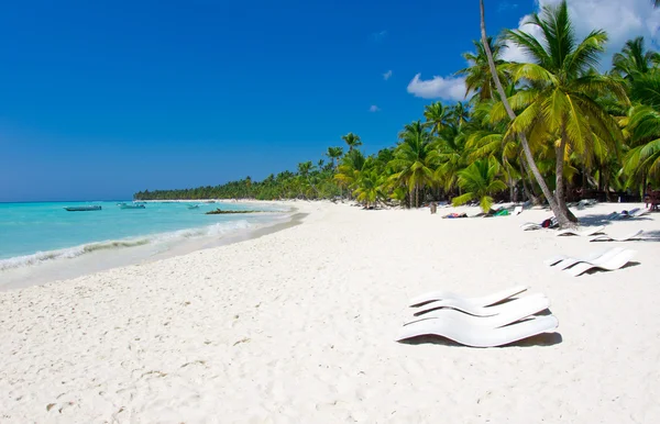 Tropical beach — Stock Photo, Image