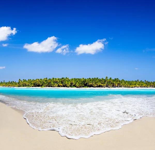 Tropiska havet — Stockfoto