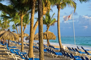 Plaj sandalyeleri palmiye altında