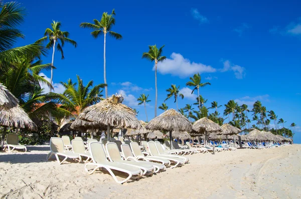 Beach chairs under palm — Stock Photo, Image