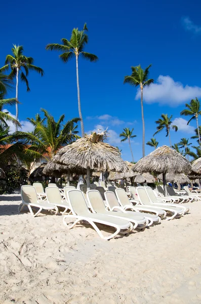 Beach chairs under palm — Stock Photo, Image