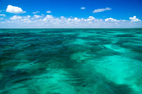 Tropik deniz — Stok fotoğraf