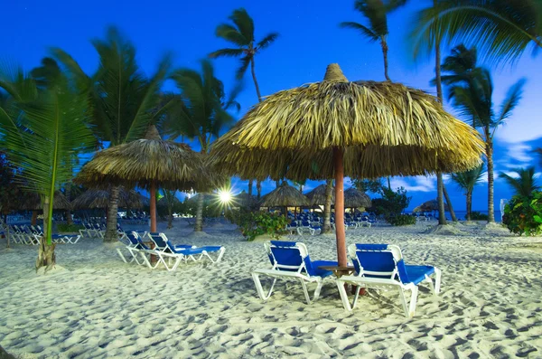 Beach chairs under palm — Stock Photo, Image