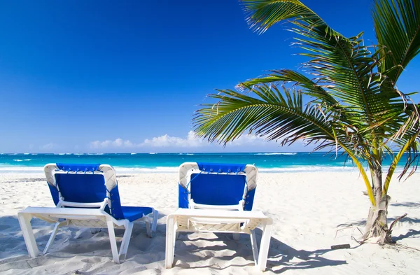 Strandstoelen onder palm — Stockfoto