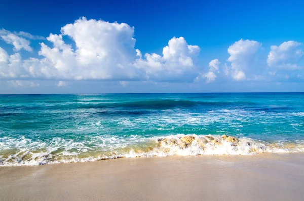 Tropiska havet — Stockfoto