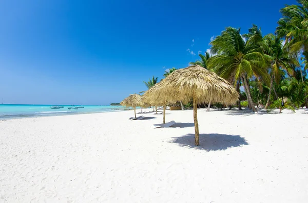 Beach chairs under palm — Stock Photo, Image