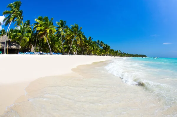 Beach — Stock Photo, Image