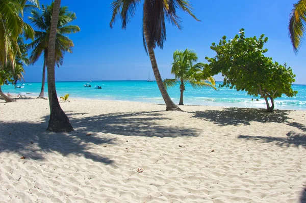 Beach — Stock Photo, Image