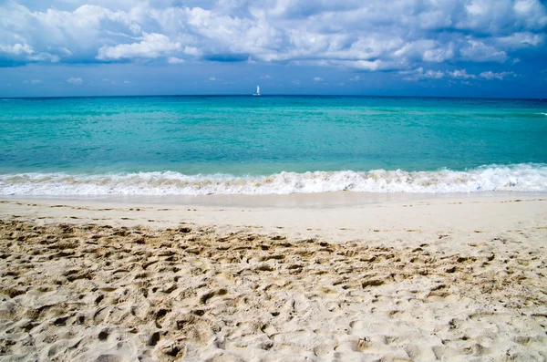 Tropiska havet — Stockfoto