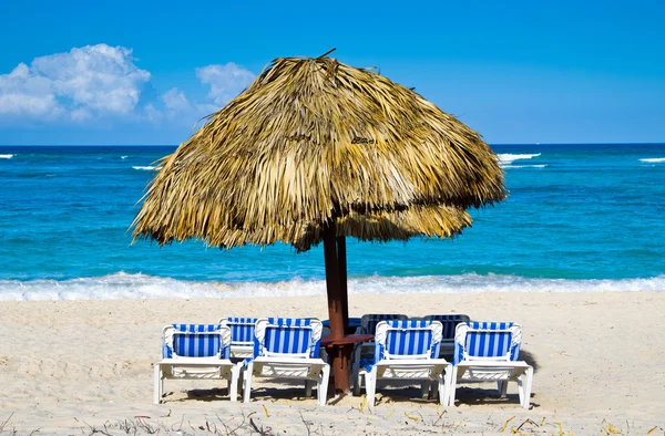 Cadeiras de praia sob palma — Fotografia de Stock
