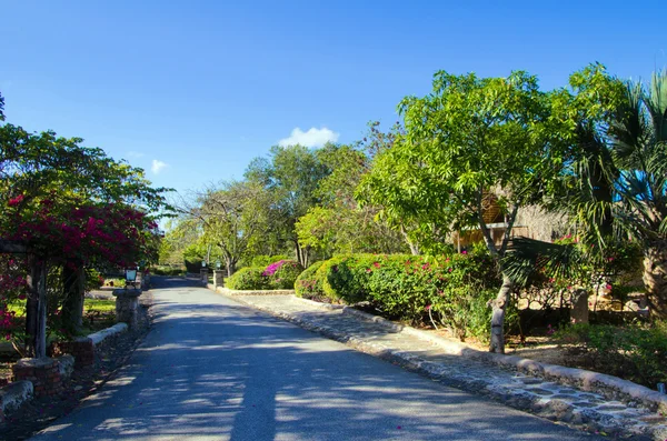 Altos de Chavon — Foto Stock