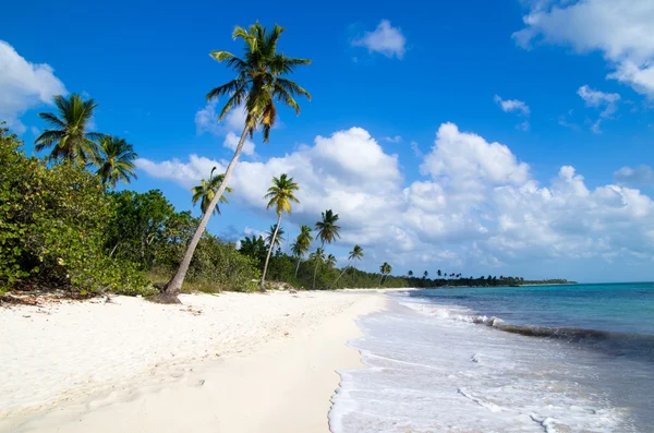 Praia — Fotografia de Stock