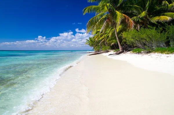 Tropiska havet — Stockfoto