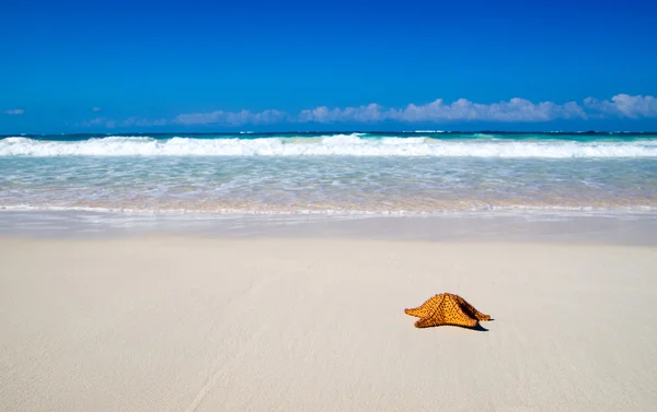 Praia — Fotografia de Stock