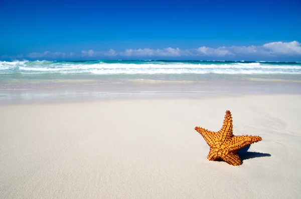 Beach — Stock Photo, Image