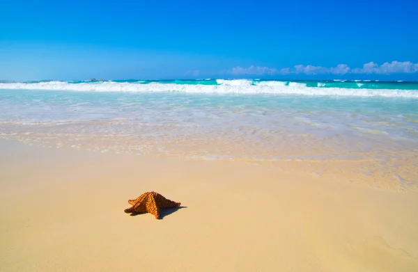 Playa — Foto de Stock