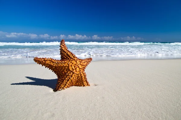 Beach — Stock Photo, Image