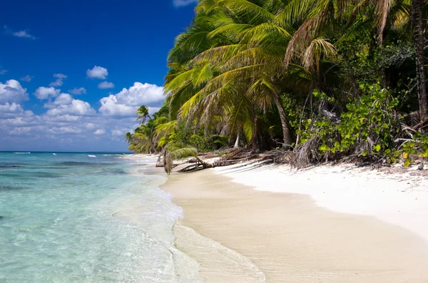 Tropiska havet — Stockfoto