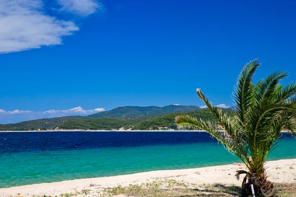 Spiaggia — Foto Stock