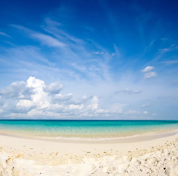 Tropiska havet — Stockfoto